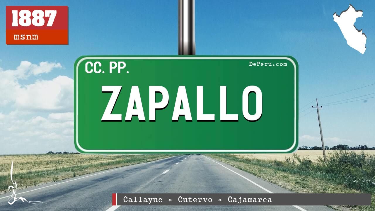 Zapallo