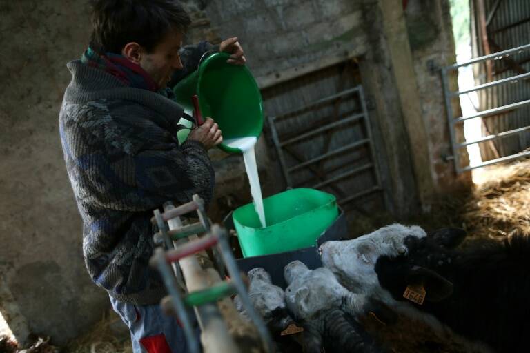 UE - agricultura - comercio - leche