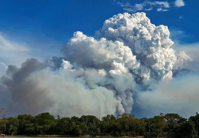 Brasil - animales - medioambiente - incendio